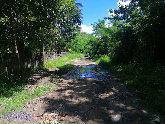 Beachfront property in Agdangan, Quezon with surrounding vegetations