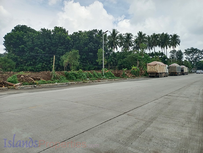 Commercial Lot for Sale This property is located along new by-pass road of Alaminos, Laguna