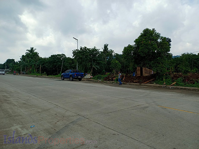 Commercial Lot for Sale This property is located along new by-pass road of Alaminos, Laguna