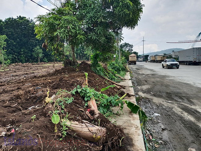 Commercial Lot for Sale This property is located along new by-pass road of Alaminos, Laguna