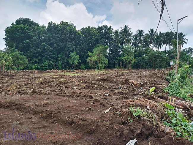 Commercial Lot for Sale This property is located along new by-pass road of Alaminos, Laguna It has flat terrain with more or less 180 meters frontage