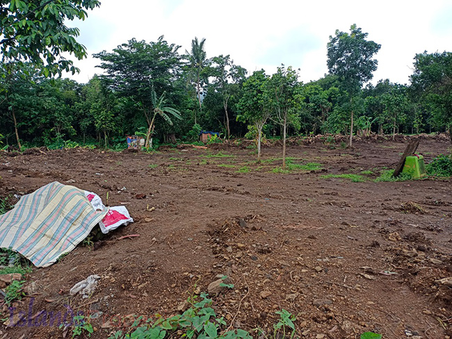 Commercial Lot for Sale This property is located along new by-pass road of Alaminos, Laguna It has flat terrain with more or less 180 meters frontage