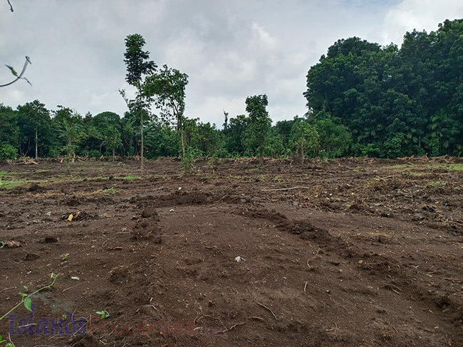 Commercial Lot for Sale This property is located along new by-pass road of Alaminos, Laguna It has flat terrain with more or less 180 meters frontage