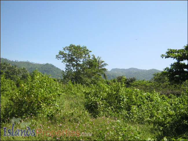 Commercial Lot for Sale This property has a mountain view