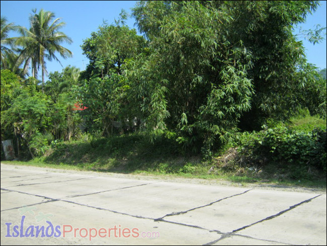 Commercial Lot for Sale This property is located along national highway and a few kilometers from the Malicboy Village Center,