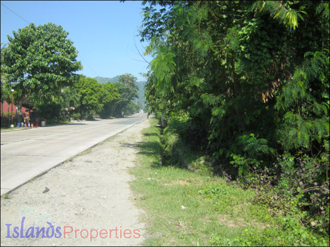 Commercial Lot for Sale This property is located along national highway and a few kilometers from the Malicboy Village Center,