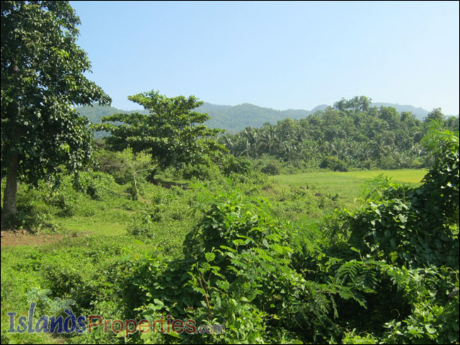 Commercial Lot for Sale This property has a mountain view