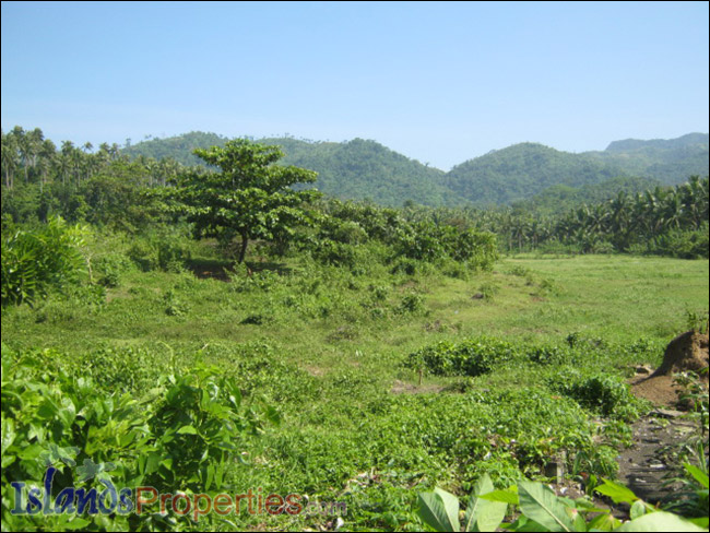 Commercial Lot for Sale This property has a mountain view