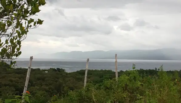 Affordable Sea-View Lots for Sale in San Jose, Negros Oriental (RL-1100)