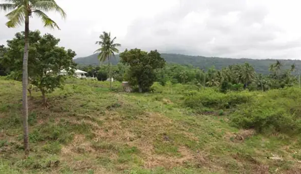Affordable Sea-View Lots for Sale in San Jose, Negros Oriental (RL-1100)