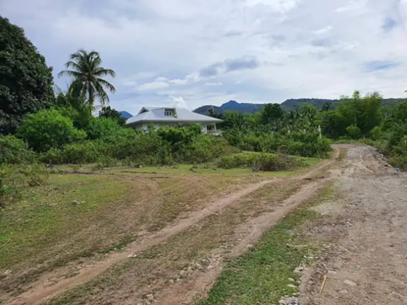 Affordable Sea-View Lots for Sale in San Jose, Negros Oriental (RL-1100)