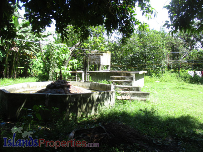 Lot With Hotspring Water for Sale Planted with hundreds of Rambutan, Lanzones, Coconut Trees that can produce good income