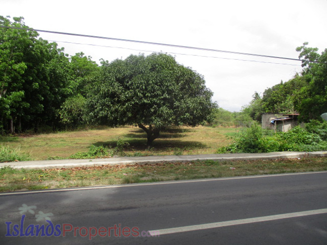 Lot Along the Highway for Sale This property is located along highway going to Laiya. Planted with more or less 15 mango trees. Flat terrain and has about 40 meters frontage.