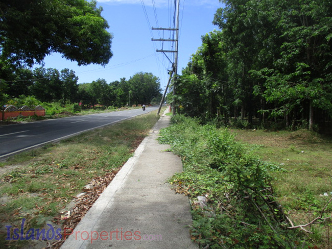 Lot Along the Highway for Sale This property is located along highway going to Laiya. Planted with more or less 15 mango trees. Flat terrain and has about 40 meters frontage.