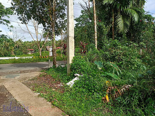 Residential Lot in Lucban, Quezon