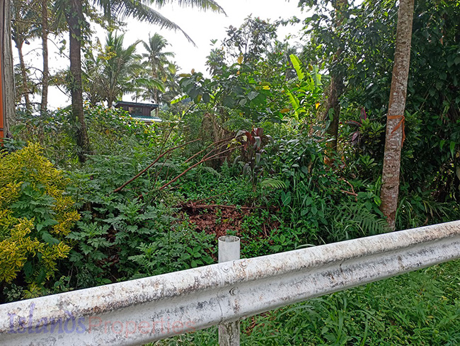 Residential Lot in Lucban, Quezon near road