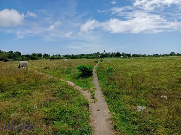 Lot Along Eco-Tourism Highway in Sariaya, Quezon for Sale