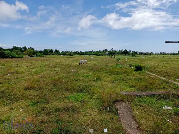 Lot Along Eco-Tourism Highway in Sariaya, Quezon for Sale