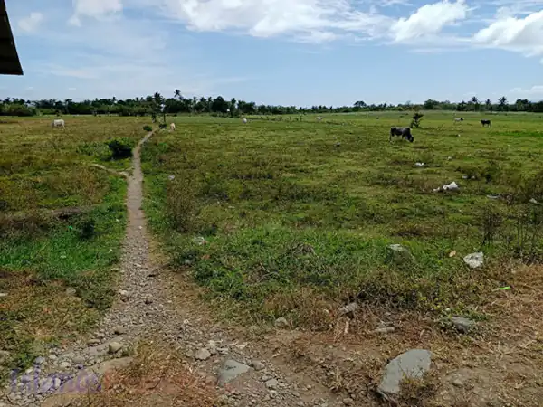 Lot Along Eco-Tourism Highway in Sariaya, Quezon for Sale