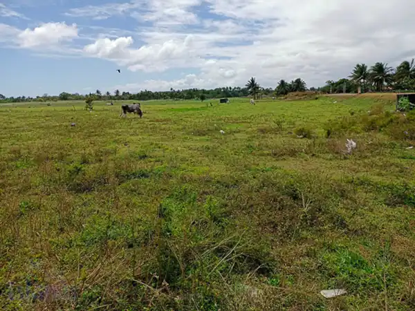 Lot Along Eco-Tourism Highway in Sariaya, Quezon for Sale