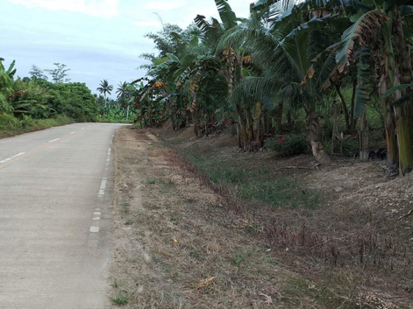 Beautiful Farm for Sale road