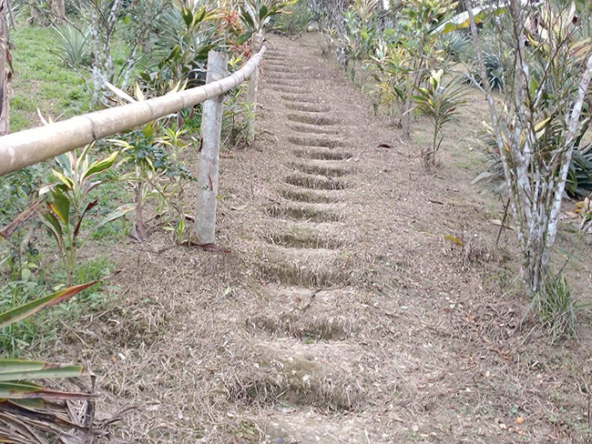 Beautiful Farm for Sale steps leading the way