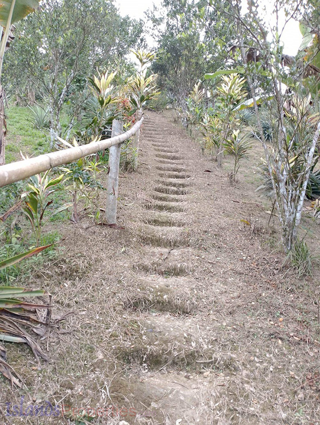 Beautiful Farm for Sale steps leading the way