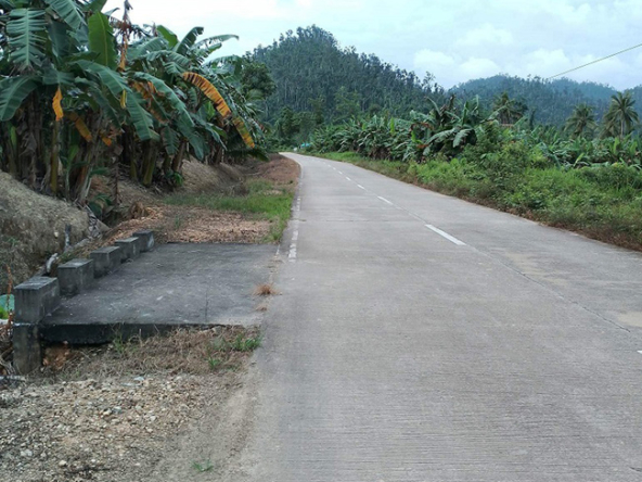 Beautiful Farm for Sale road