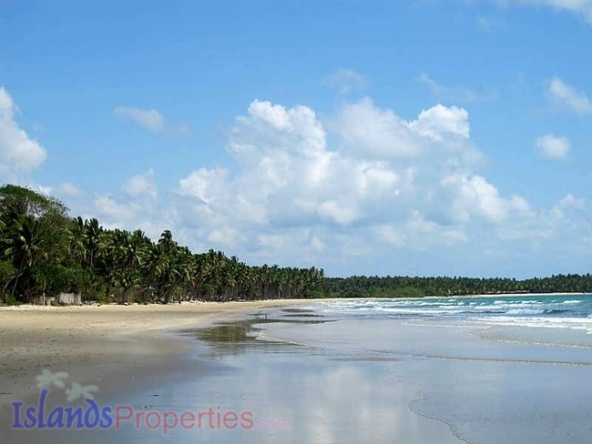 Prime Beachfront Properties Palawan (Code: BF-7312)