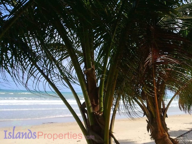 Prime Beachfront Properties Palawan (Code: BF-7312)