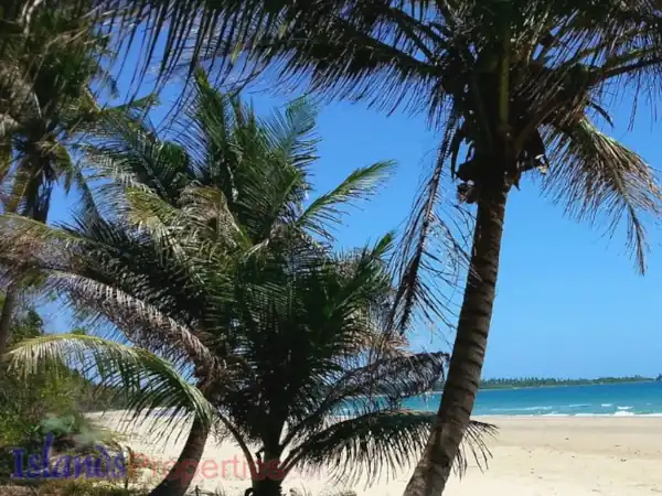 Prime Beachfront Properties Palawan (Code: BF-7312)