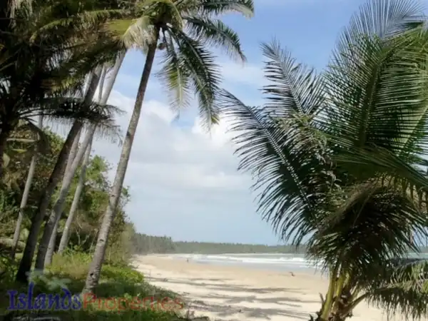 Prime Beachfront Properties Palawan (Code: BF-7312)