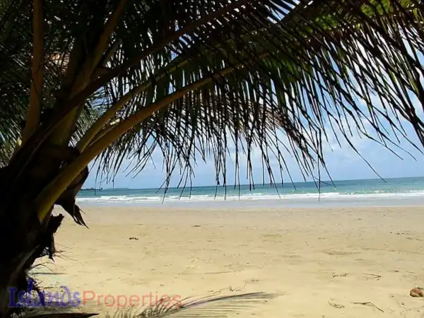 Prime Beachfront Properties Palawan (Code: BF-7312)