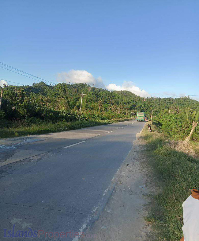 Beach Lot for Sale This property is situated along national road with other portion facing the beach area.