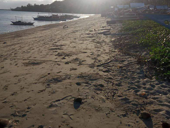 Beach Lot for Sale