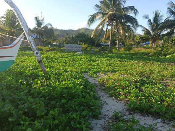 Beach Lot for Sale