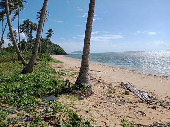 Beach Lot for Sale It is facing west Philippine Sea, and has a perfect view of sunset with no obstruction.