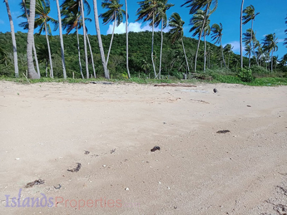Beach Lot for Sale Various surrounding coconut trees