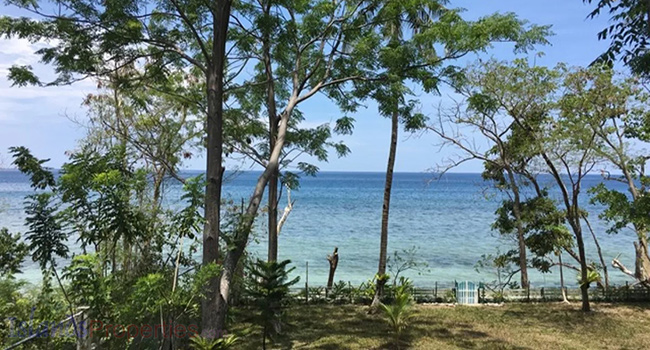 This is garden is a beautiful view of the property. This fully furnished beachfront house offers a great view, privacy, and accessibility, making it an ideal property for nature lovers and those seeking a tranquil paradise.