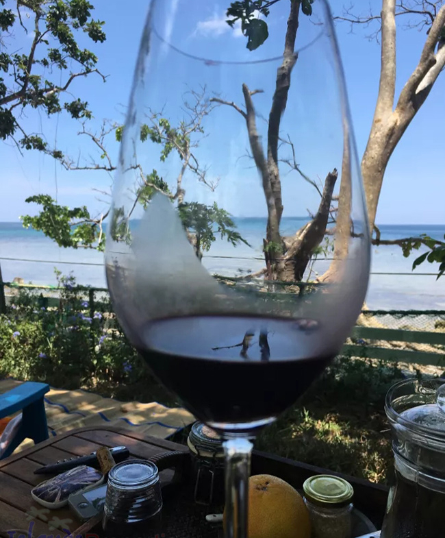 This is an artistic view from the lenses of this wine glass, showing the beautiful beachfront.