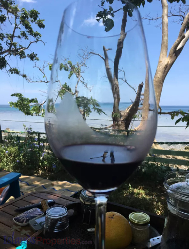 This is an artistic view from the lenses of this wine glass, showing the beautiful beachfront.