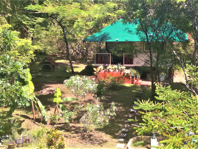 Stunning Ocean View Farm Palawan for Sale