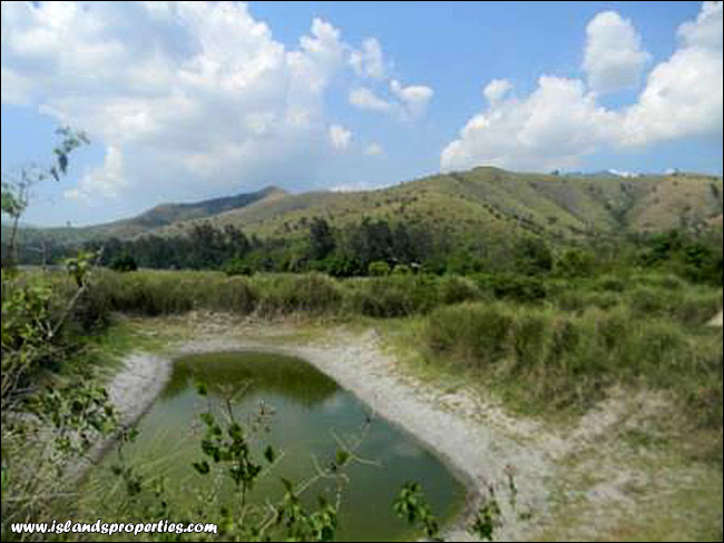 pond House and Lot for Sale