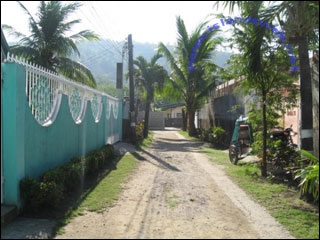 House and Lot for Sale (Code: RH-774) outside road