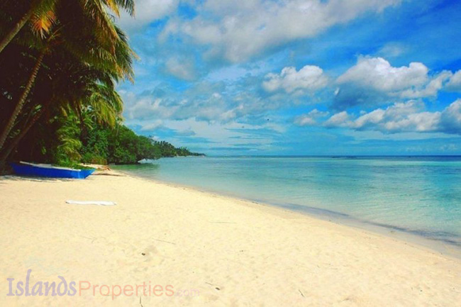 Titled Lot For Sale In Siquijor (Code: RL-1985)