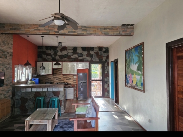 Beachfront House and Lot for Sale (Code: BF-7925)