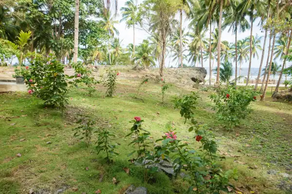 ₱39,950,000 Spectacular Beach Property with Newly Built Contemporary Buildings (BF-7204)