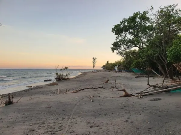 Beautiful Beach Lot for Sale - Zamboanguita, Near Dumaguete (BF-7000)